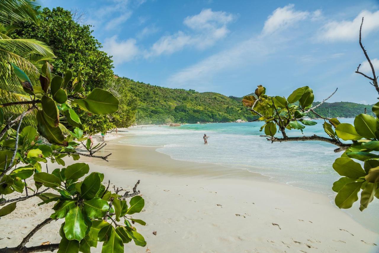 Lou Lou Bungalow Grand' Anse Buitenkant foto