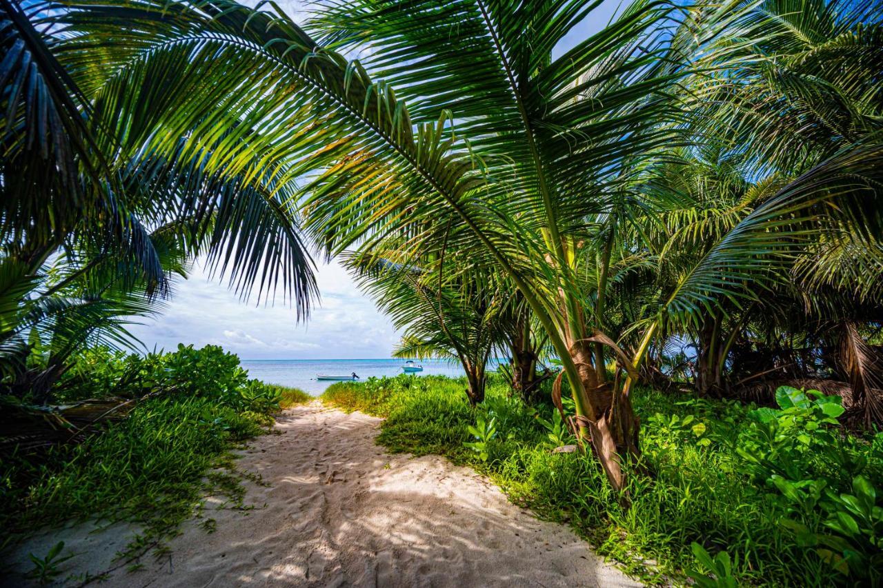 Lou Lou Bungalow Grand' Anse Buitenkant foto